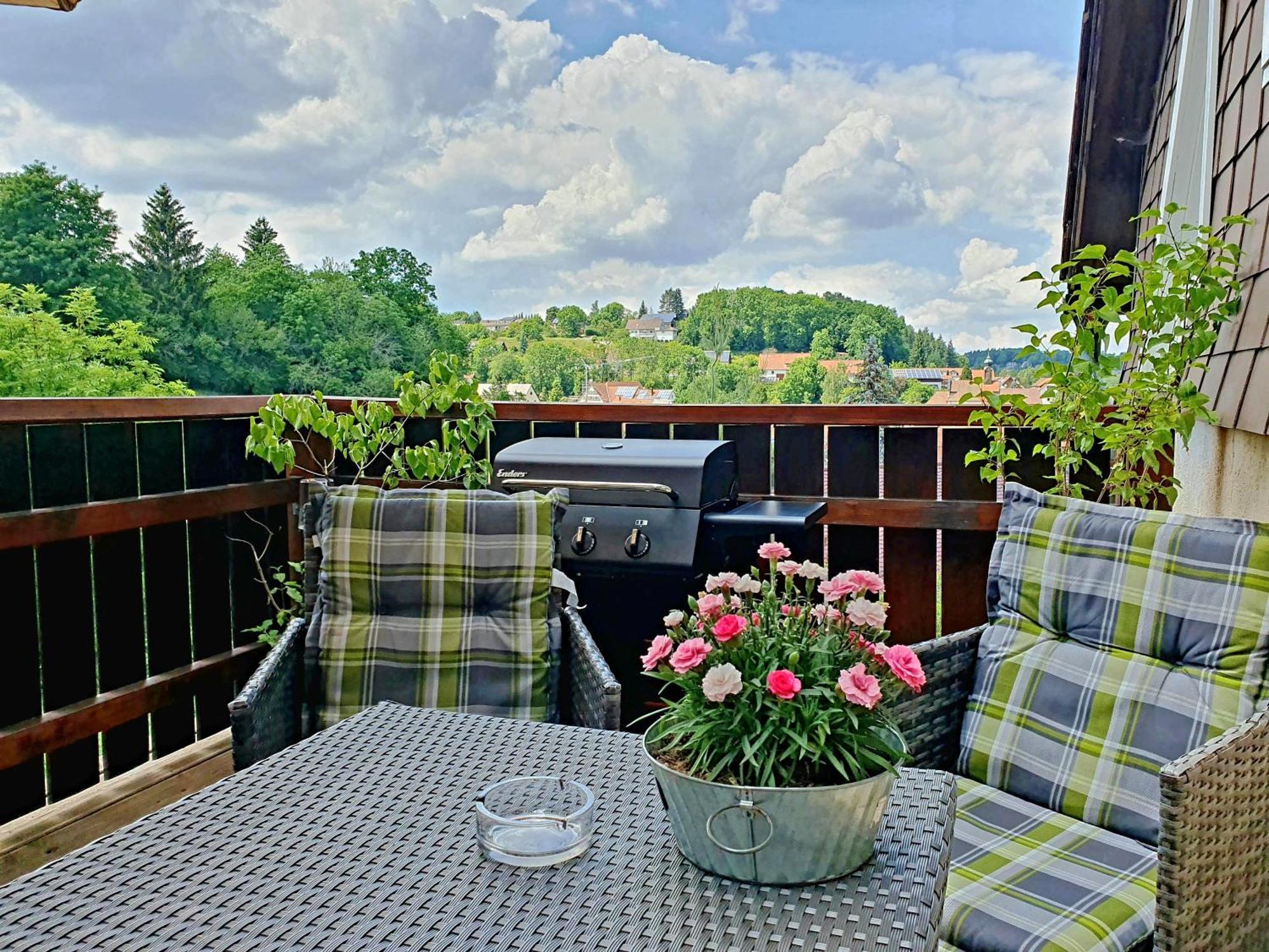 Naturpark Schwarzwald Apartment *